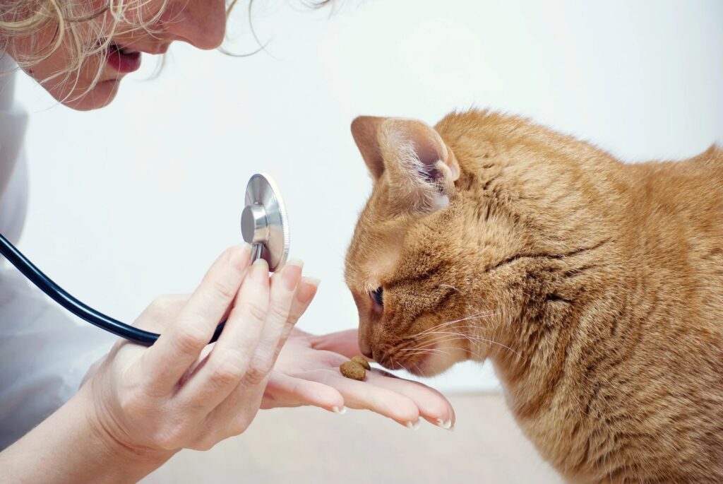 Clínica Veterinaria Puerta del Sur